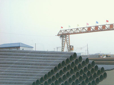 L245